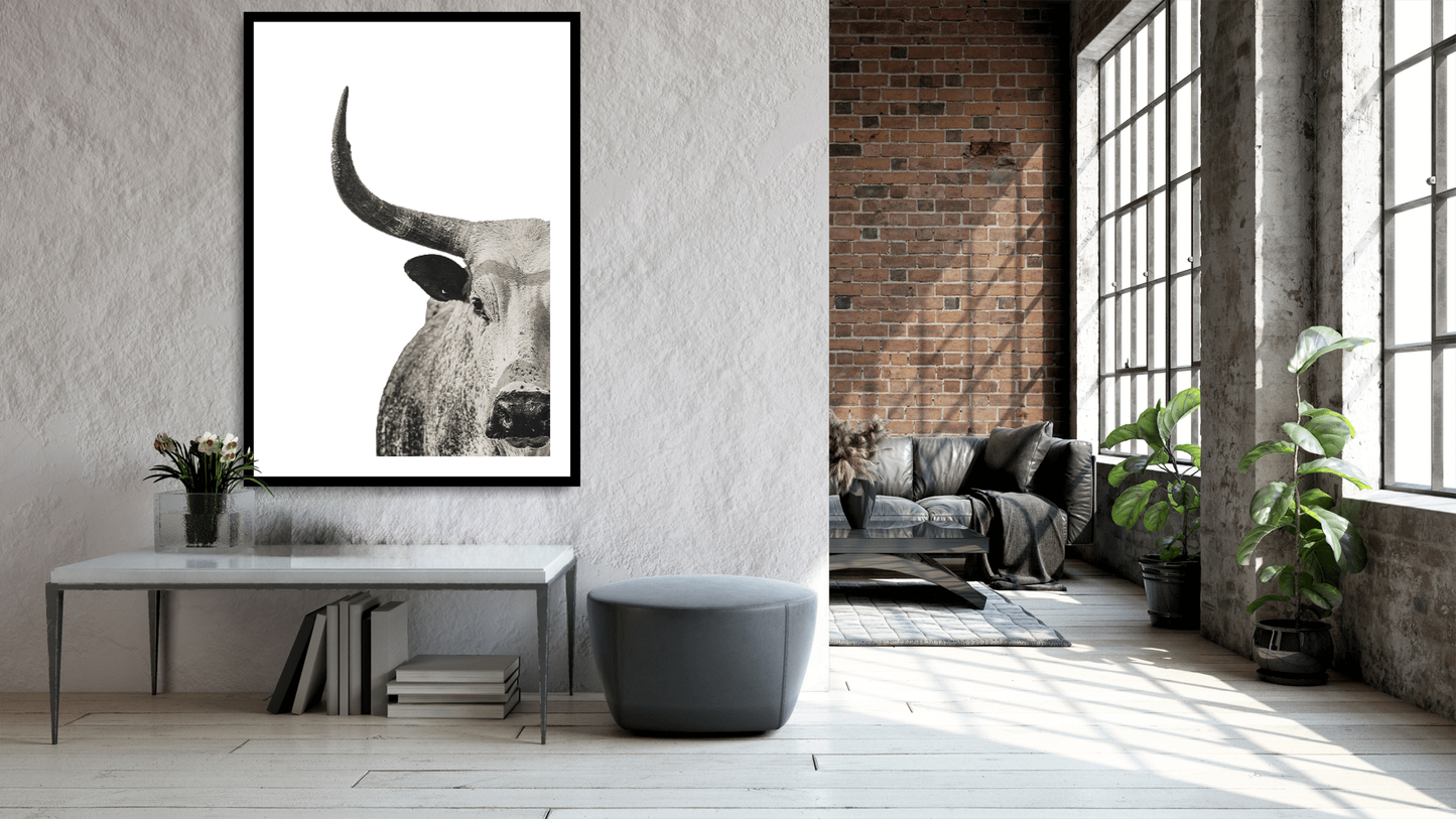 Nguni Majesty – Black & White Fine Art