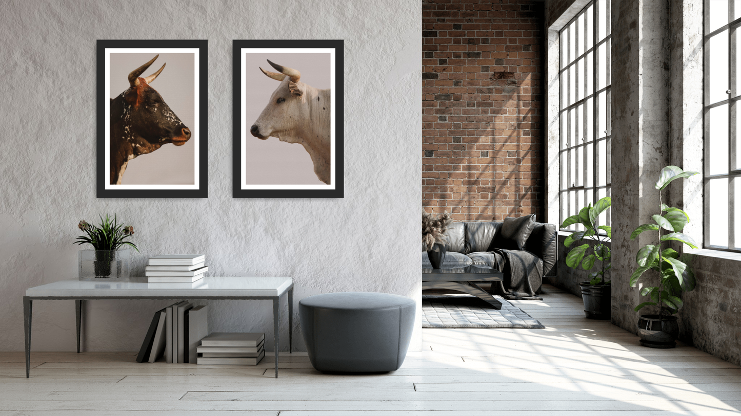 Nguni Heritage – Fine Art
