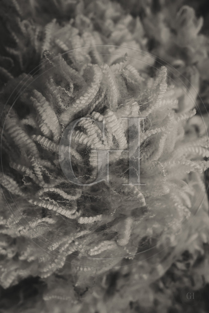 Soft Strength – Wool & Mohair Textures