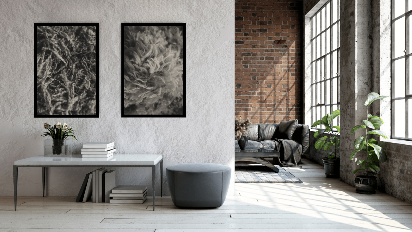 Soft Strength – Wool & Mohair Textures